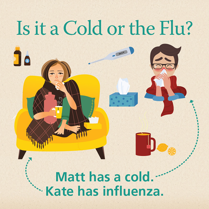 So, what is the difference between a cold or the flu?