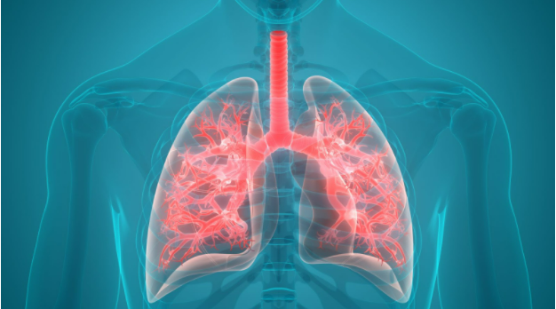 pulmonary